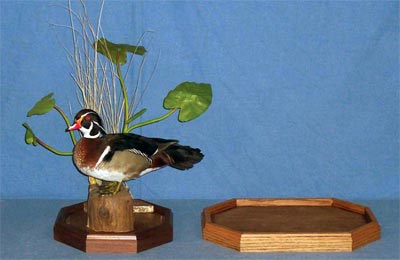 Octagon Habitat Taxidermy Base