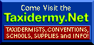 Taidermy.net