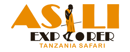Asili Explorer