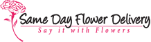 Fusion Florist